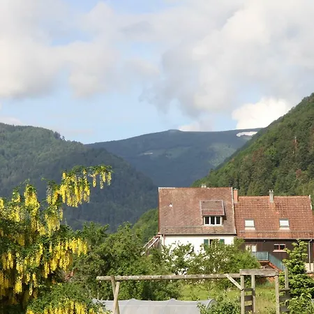 Le Clevimar Metzeral